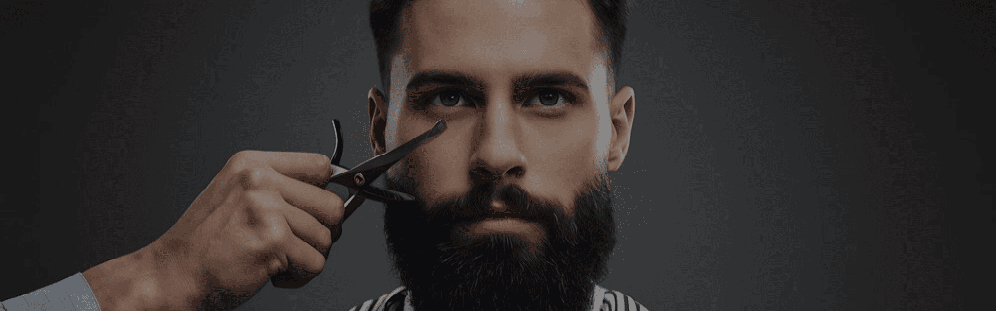 banner-image